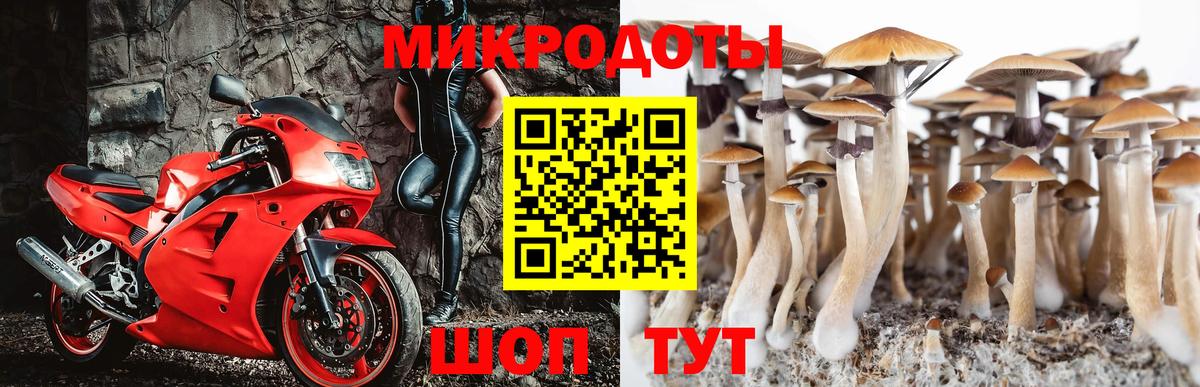 Галлюциногенные грибы мухоморы  Псилоцибиновые грибы прущие грибы  Самара  Вход с VPN 