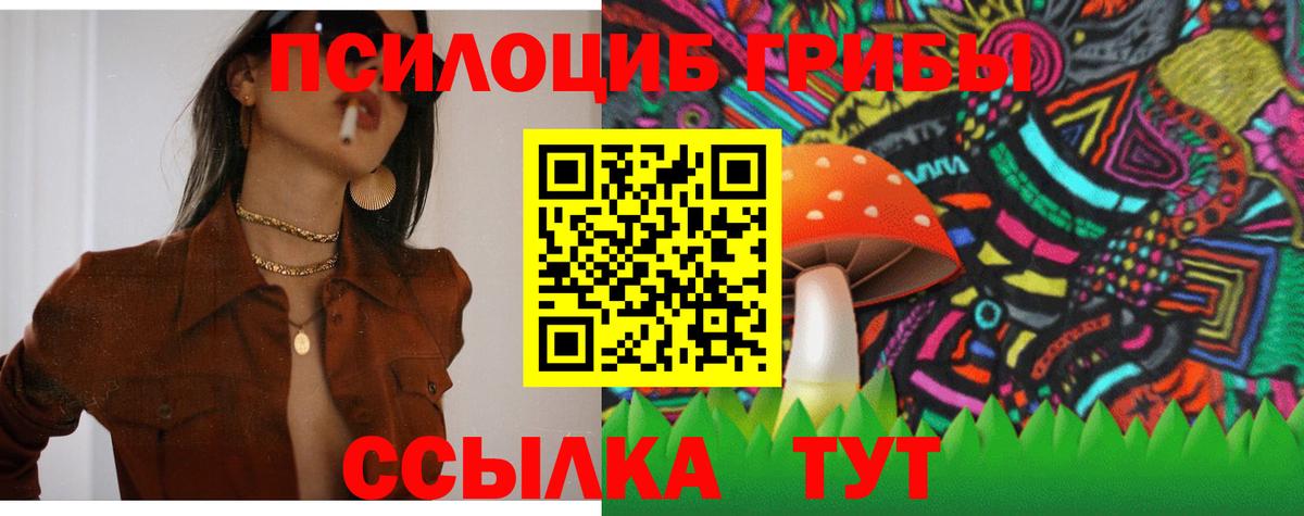 Галлюциногенные грибы Psilocybe Самара